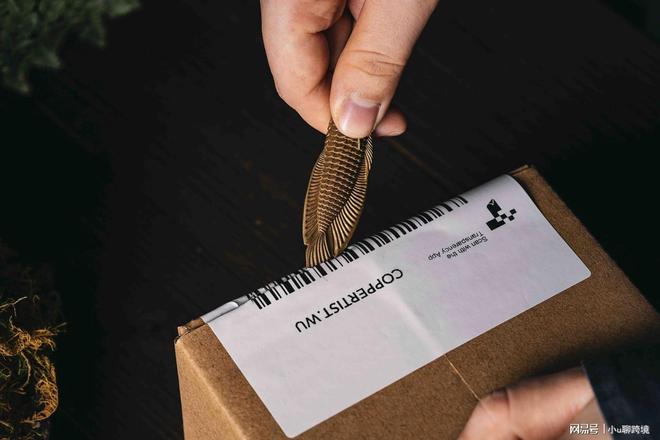 ？情趣用品独立站给你更大的自由空间冰球突破豪华版手机版平台管控太严