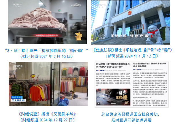 台社会责任报告（2024年度）冰球突破豪华版中央广播电视总(图32)